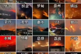 贵州大火5天5夜未熄，民间惊传日本间谍纵火，珍稀药材出口遭阻？